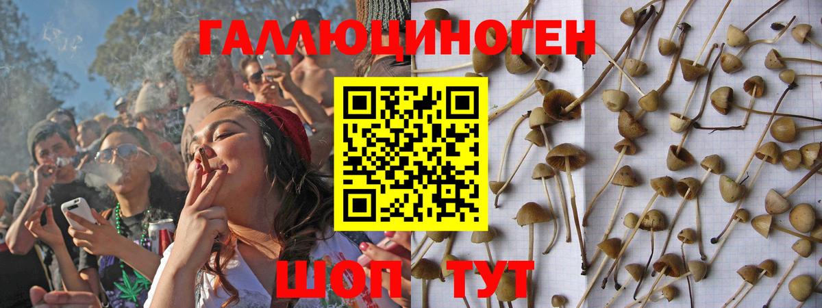 Галлюциногенные грибы мухоморы Борзя
