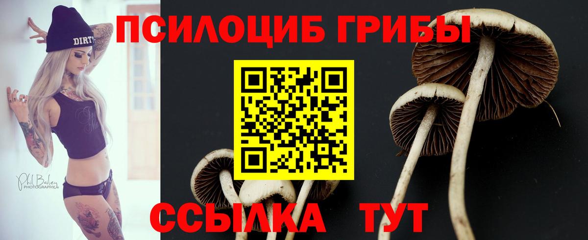Псилоцибиновые грибы ЛСД  Вход с VPN  Псилоцибиновые грибы мухоморы  цена наркотик  Борзя 
